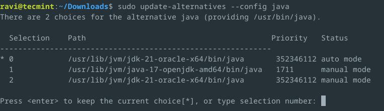 Set Java Version in Debian