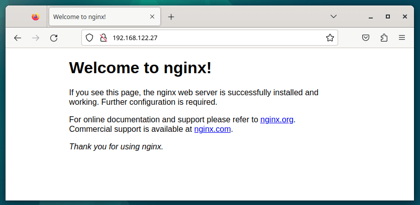 Check Nginx Page