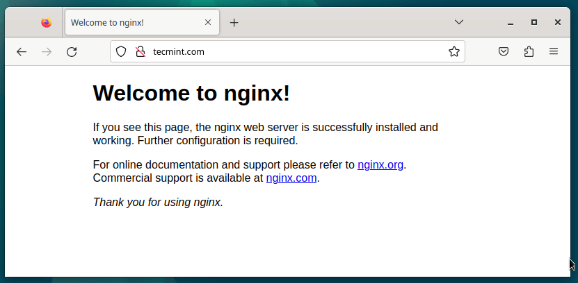 Check Nginx Page with Domain