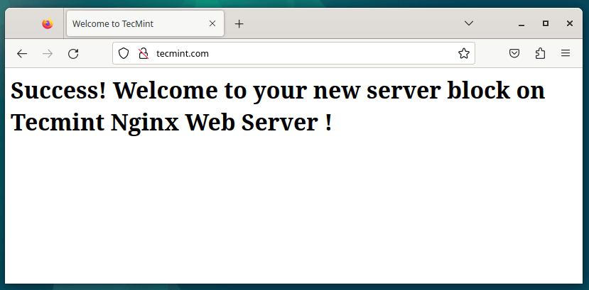 Check Nginx Server Block Website on Debian 12