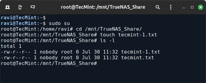 Create Files in TrueNAS NFS Share