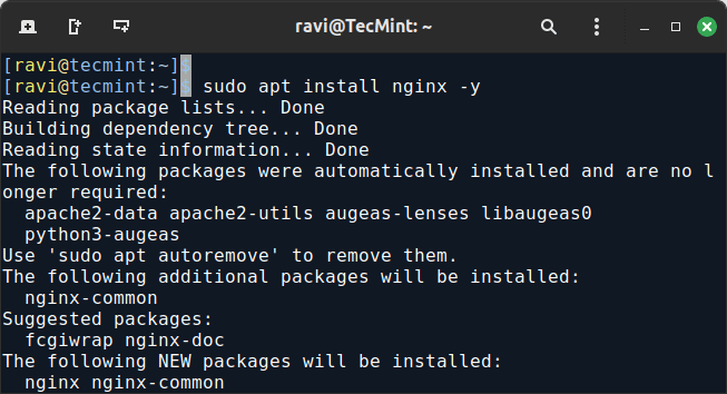Install Nginx on Debian