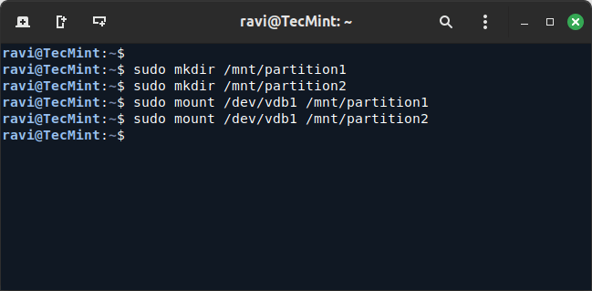 Mount New Partitions