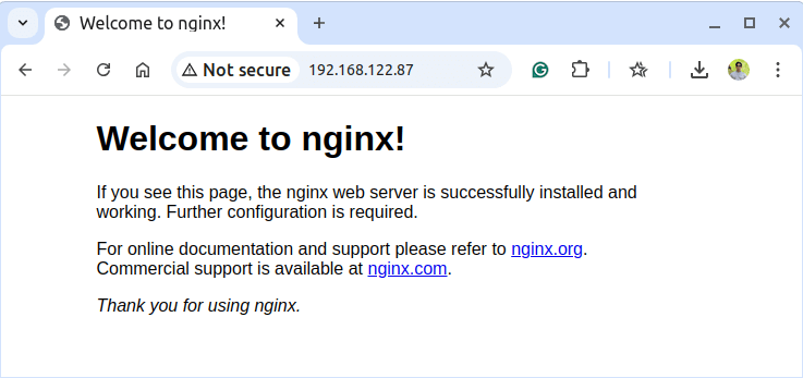 Check Nginx in Arch Linux